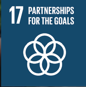 UN goal 17